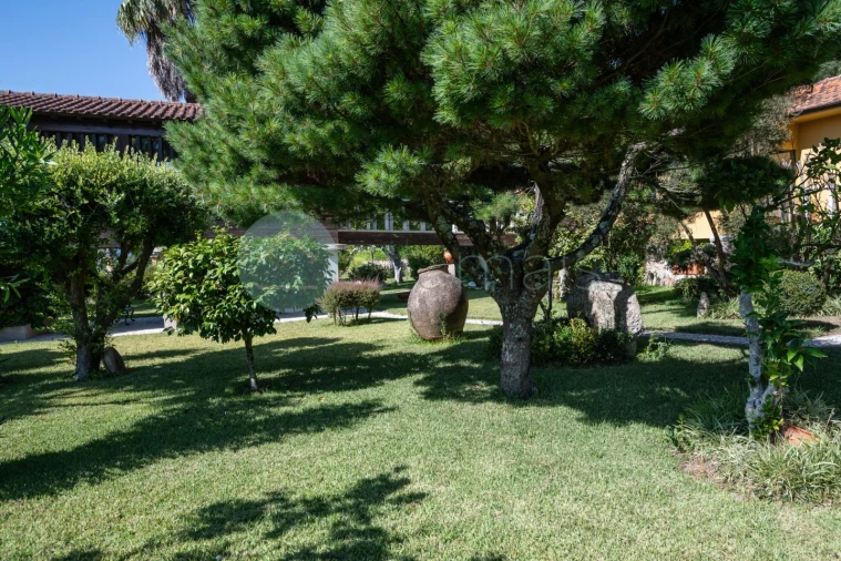 Quinta T6 para Venda em Monte Córdova Foto 32