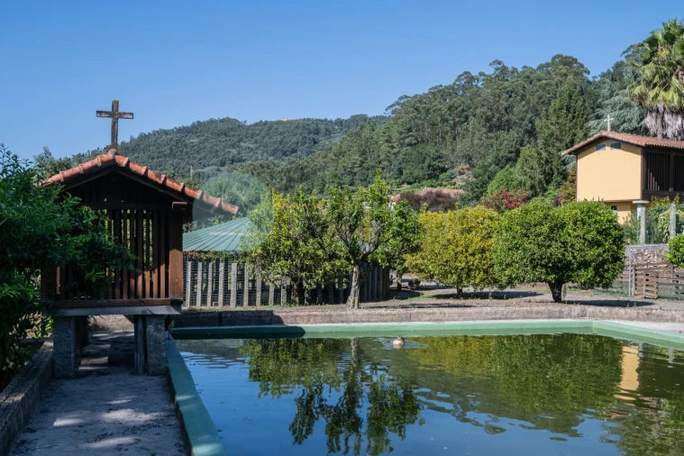 Quinta T6 para Venda em Monte Córdova Foto 10