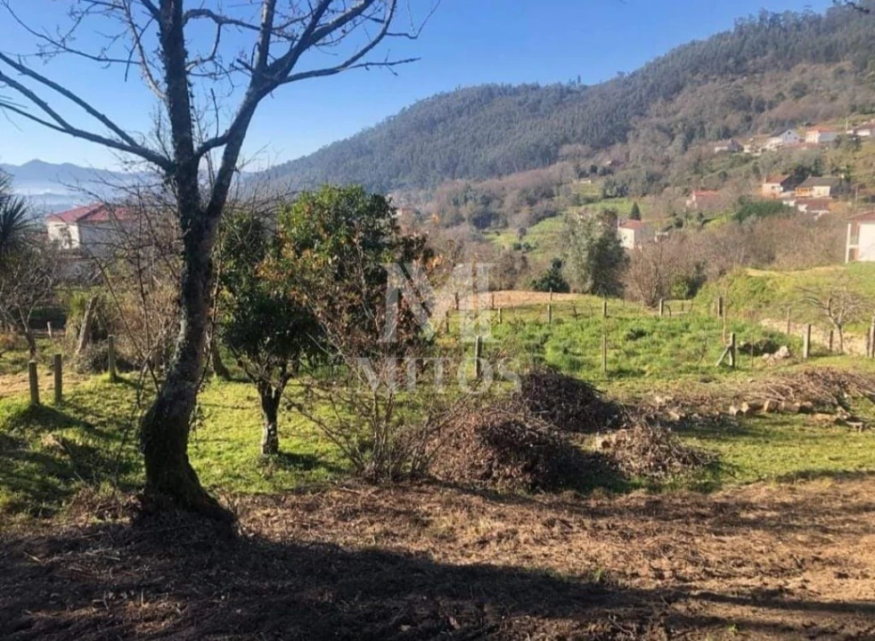 Terreno para Venda em Refoios do Lima Foto 7