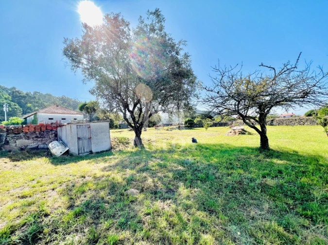 Terreno para Venda em Areosa Foto 8