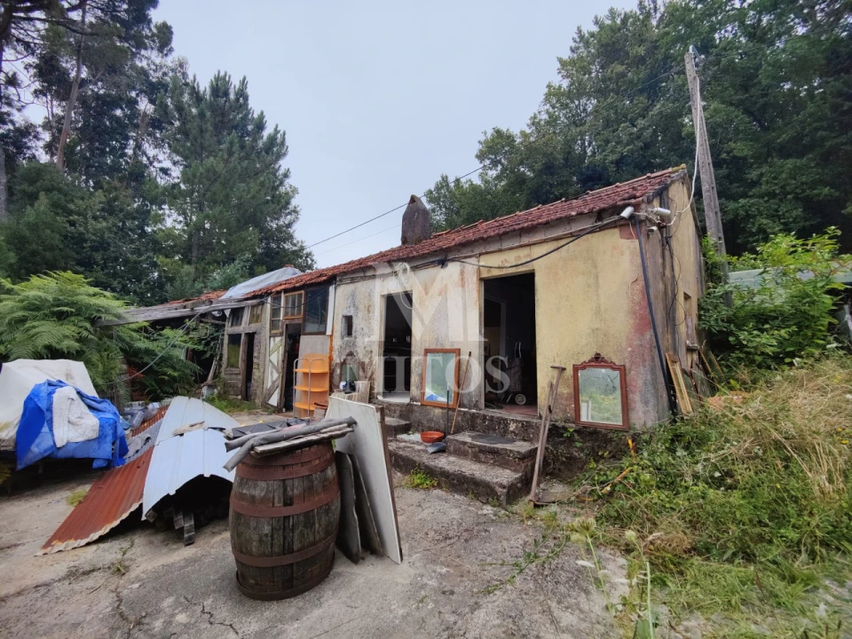 Terreno para Venda em Reboreda e Nogueira Foto 2