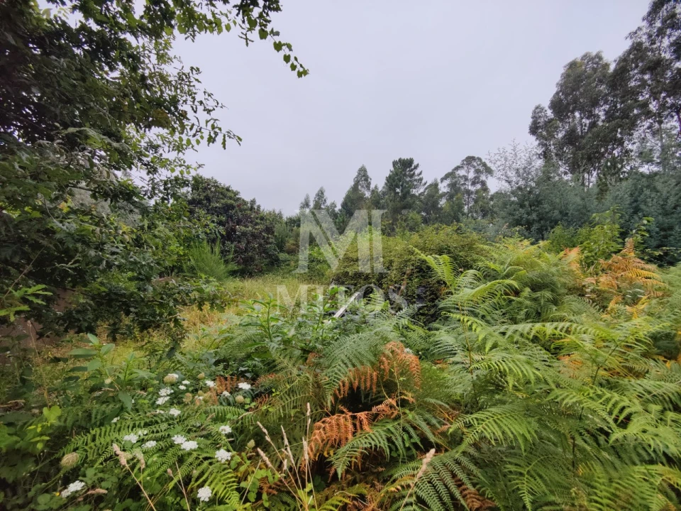 Terreno para Venda em Reboreda e Nogueira Foto 4