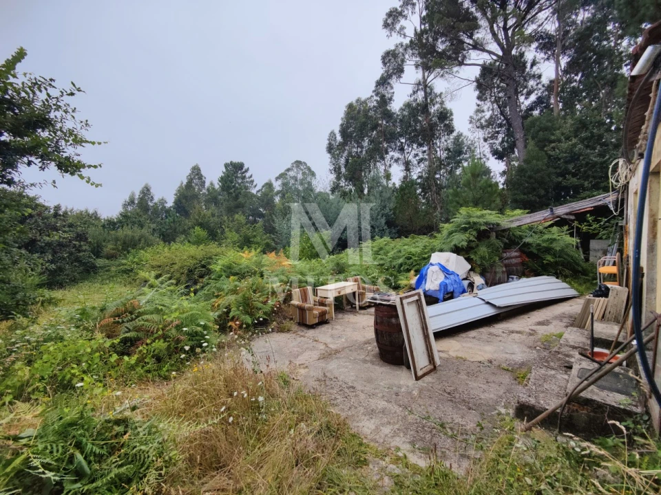 Terreno para Venda em Reboreda e Nogueira Foto 5