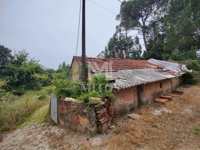 Terreno para Venda em Reboreda e Nogueira Foto 1