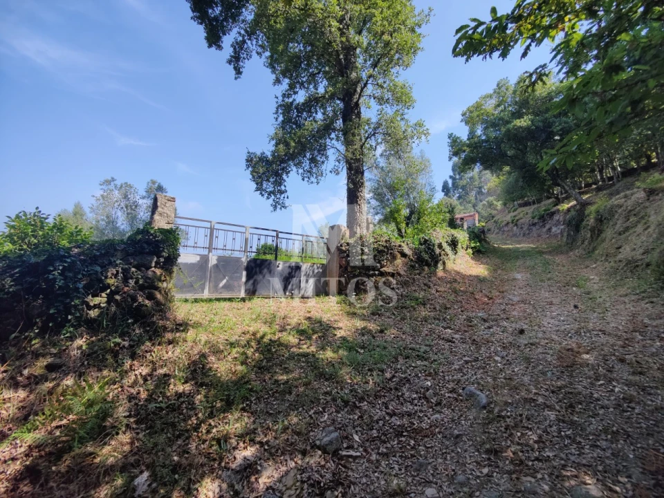 Moradia T3 para Venda em Durrães e Tregosa Foto 21