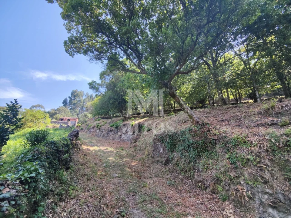 Moradia T3 para Venda em Durrães e Tregosa Foto 19