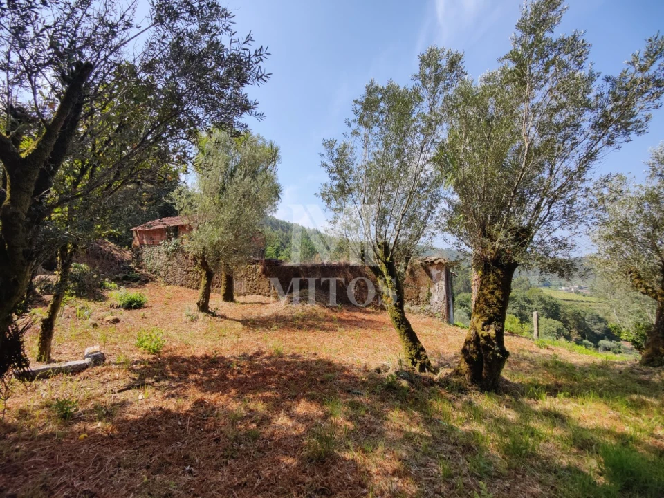 Moradia T3 para Venda em Durrães e Tregosa Foto 12