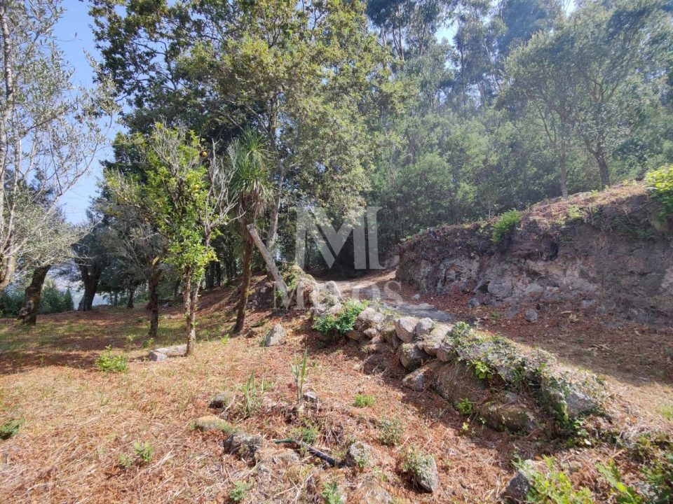 Moradia T3 para Venda em Durrães e Tregosa Foto 16