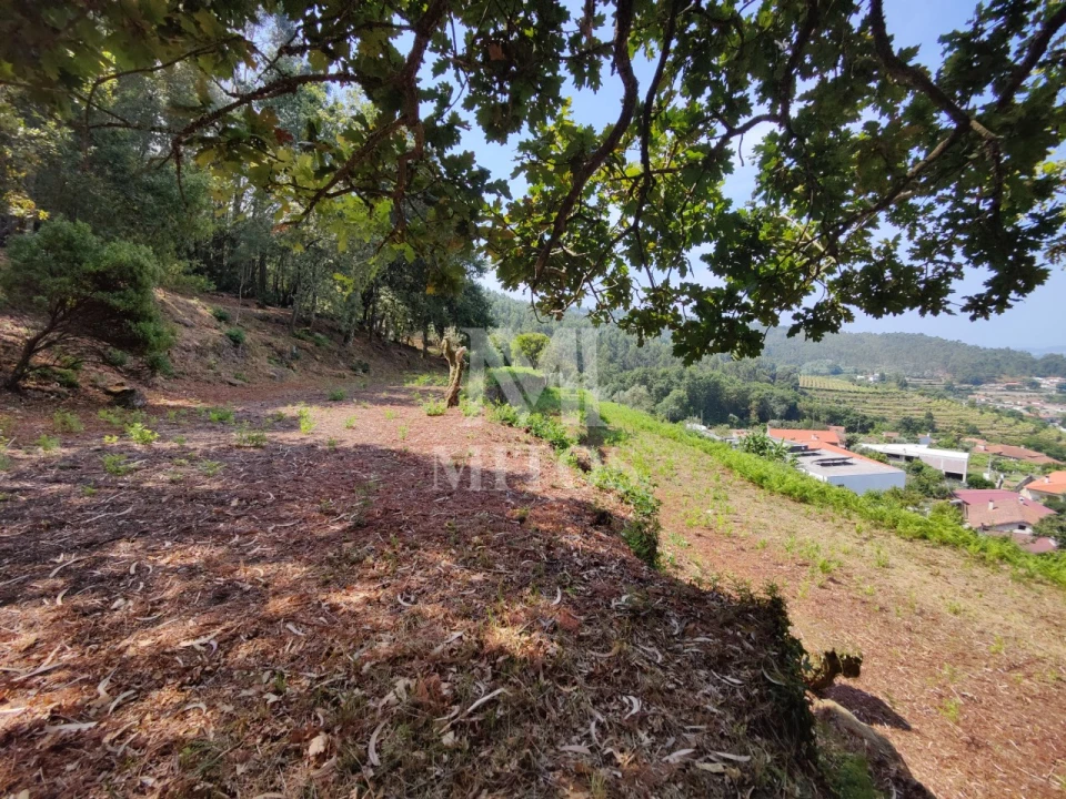 Moradia T3 para Venda em Durrães e Tregosa Foto 14