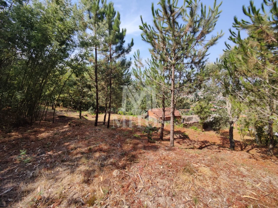 Moradia T3 para Venda em Durrães e Tregosa Foto 26