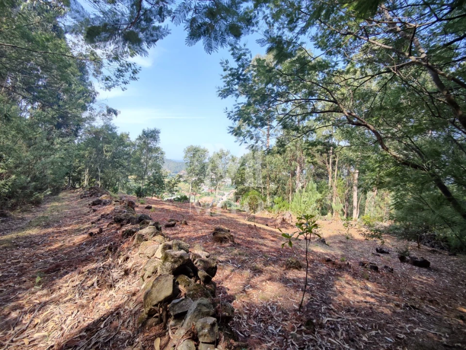 Moradia T3 para Venda em Durrães e Tregosa Foto 27