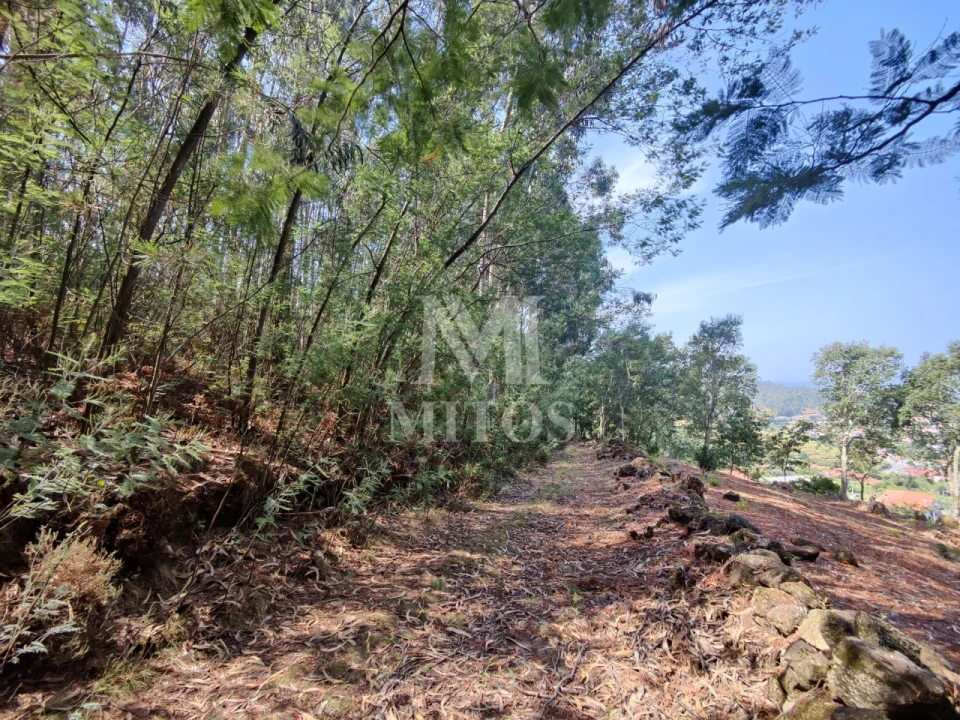 Moradia T3 para Venda em Durrães e Tregosa Foto 25