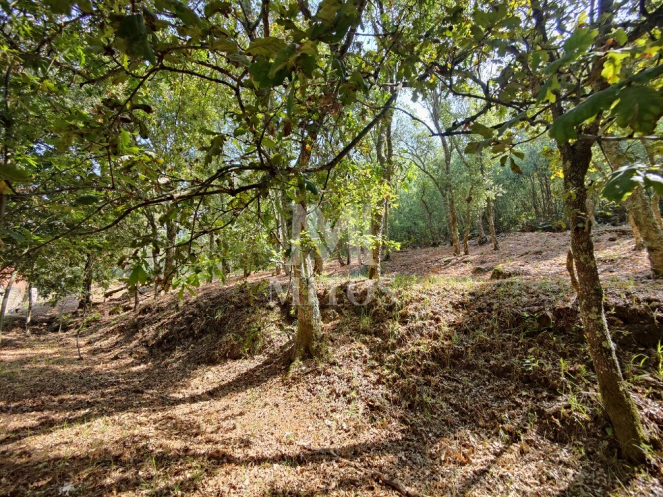 Moradia T3 para Venda em Durrães e Tregosa Foto 31