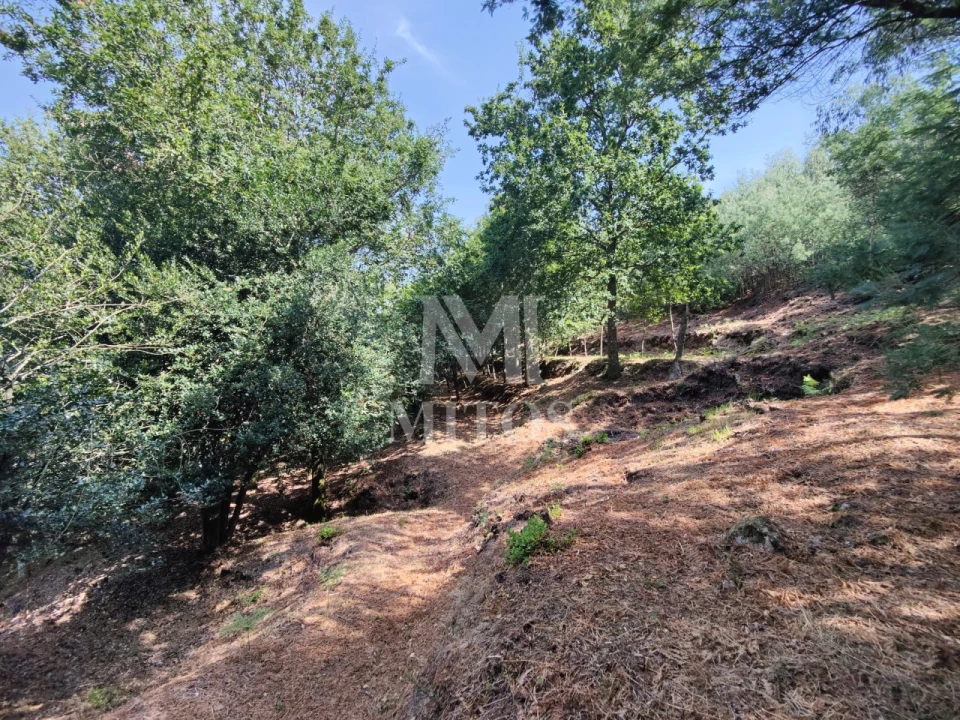 Moradia T3 para Venda em Durrães e Tregosa Foto 34