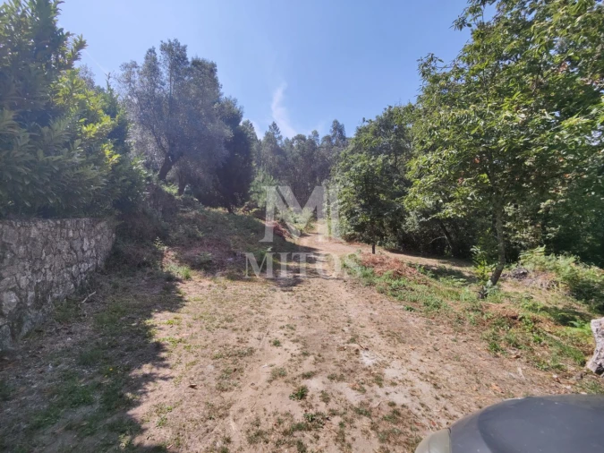 Moradia T3 para Venda em Durrães e Tregosa Foto 20