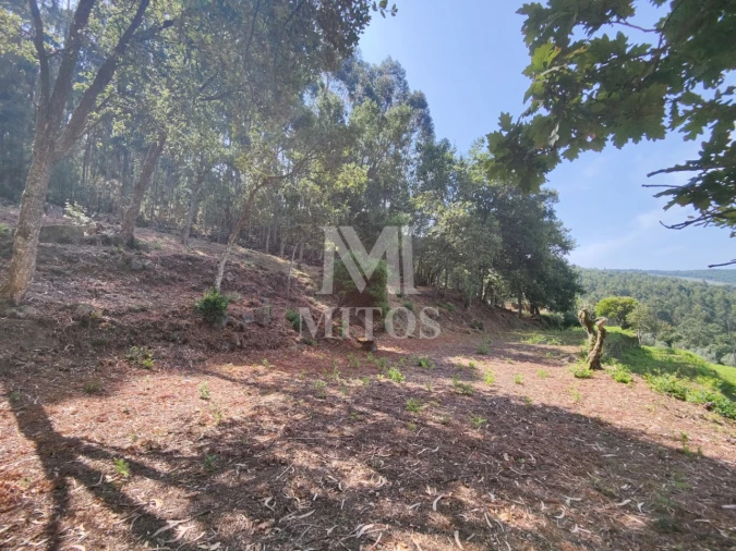 Moradia T3 para Venda em Durrães e Tregosa Foto 29