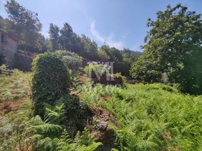 Moradia T3 para Venda em Durrães e Tregosa Foto 15