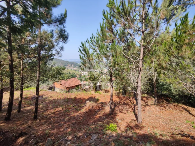 Moradia T3 para Venda em Durrães e Tregosa Foto 30