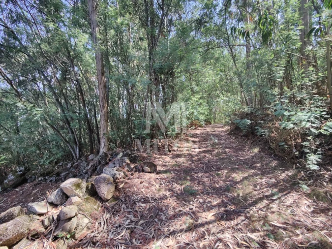 Moradia T3 para Venda em Durrães e Tregosa Foto 24