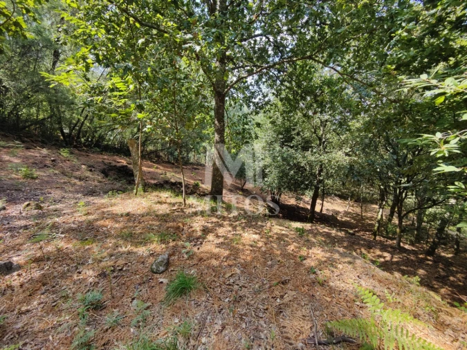 Moradia T3 para Venda em Durrães e Tregosa Foto 32