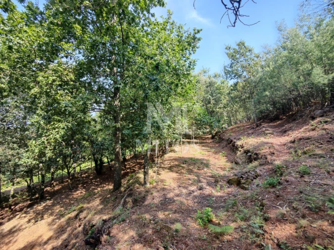 Moradia T3 para Venda em Durrães e Tregosa Foto 33