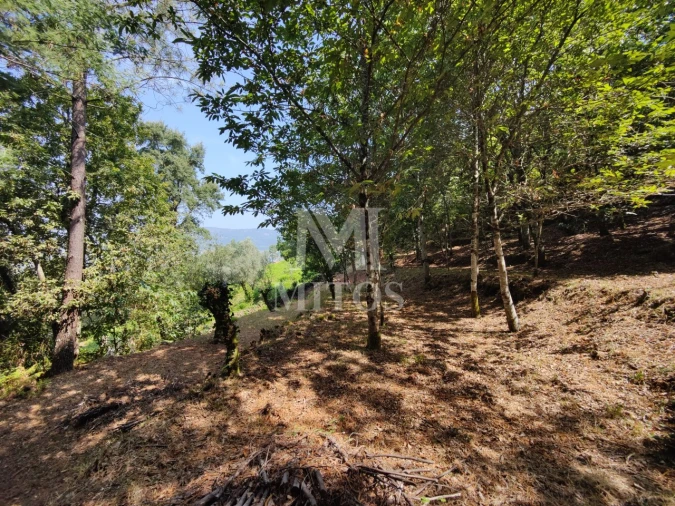 Moradia T3 para Venda em Durrães e Tregosa Foto 36