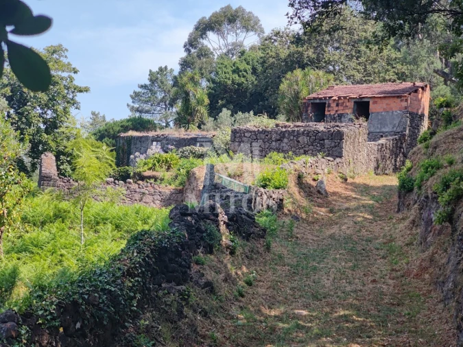 Moradia T3 para Venda em Durrães e Tregosa Foto 3