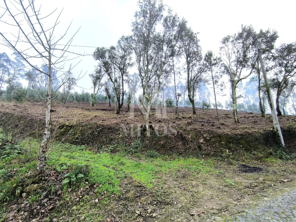 Terreno para Venda em Durrães e Tregosa Foto 10