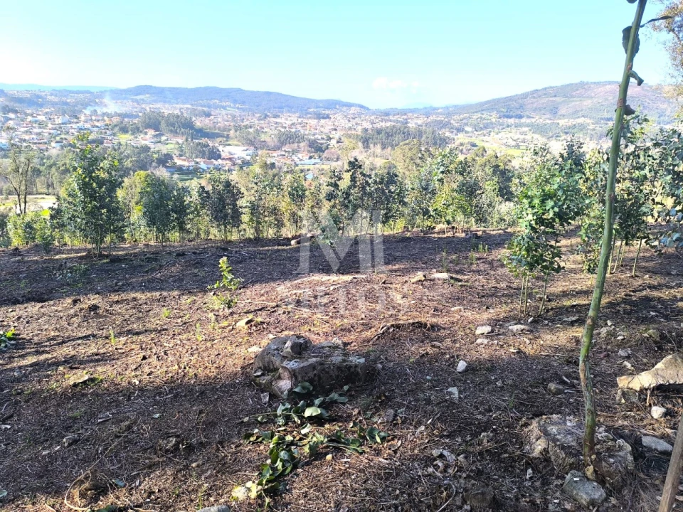 Terreno para Venda em Durrães e Tregosa Foto 6
