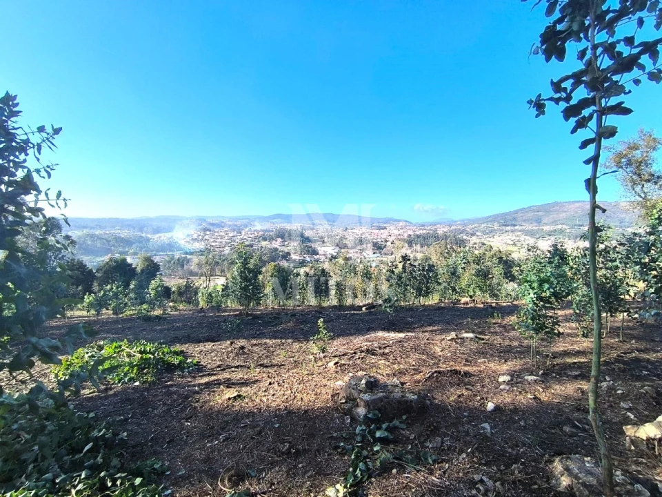 Terreno para Venda em Durrães e Tregosa Foto 1