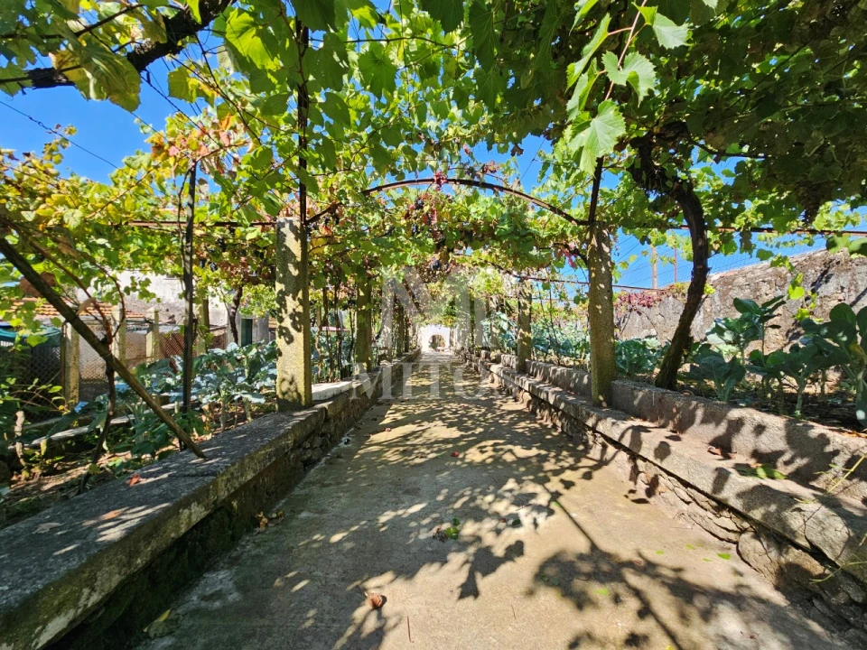 Quinta T4 para Venda em Cardielos e Serreleis Foto 8