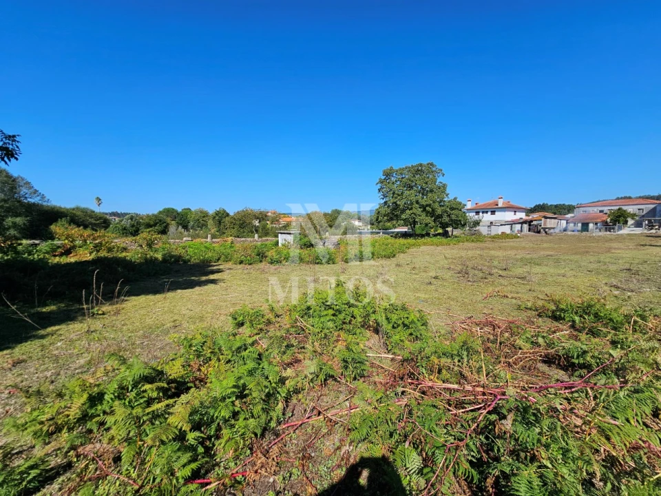 Quinta T4 para Venda em Cardielos e Serreleis Foto 19