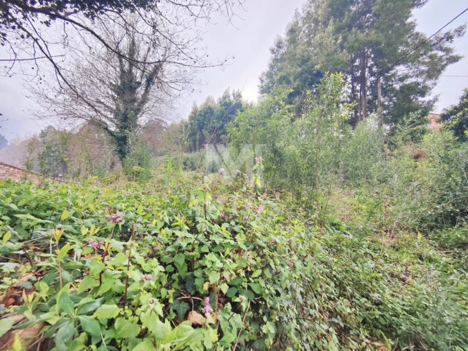 Terreno para Venda em Venade e Azevedo Foto 5