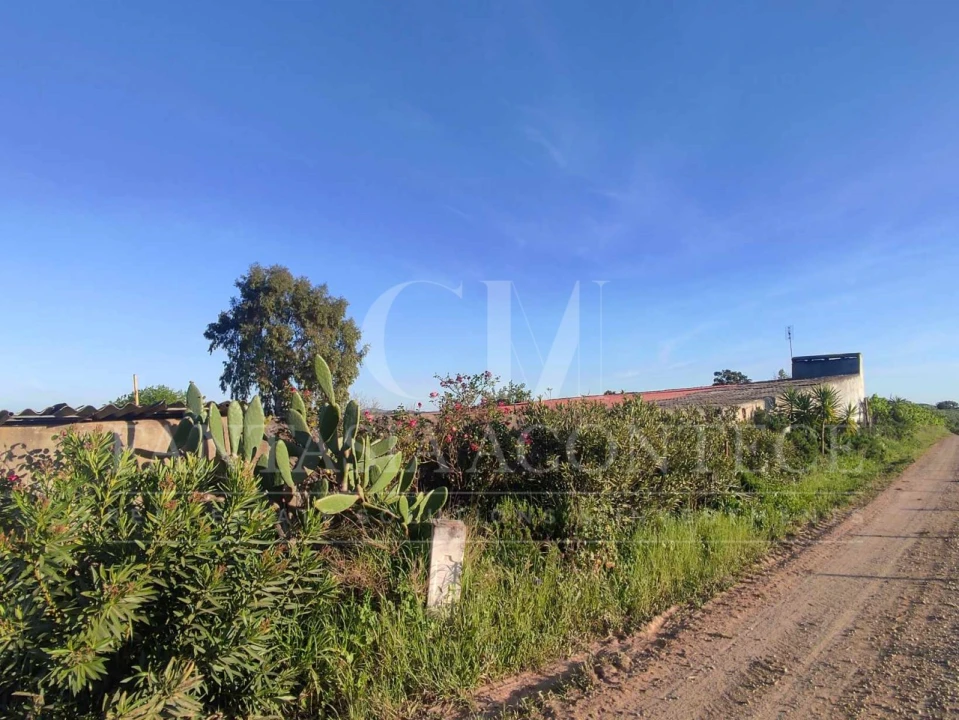 Terreno Agricola ou Rústico para Venda em Casa Branca Foto 3