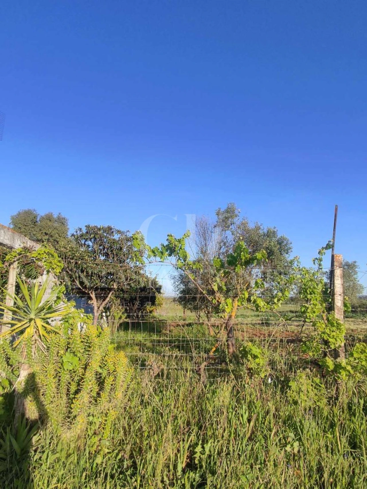 Terreno Agricola ou Rústico para Venda em Casa Branca Foto 4