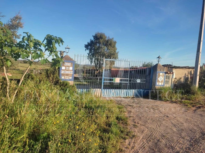 Terreno Agricola ou Rústico para Venda em Casa Branca Foto 1