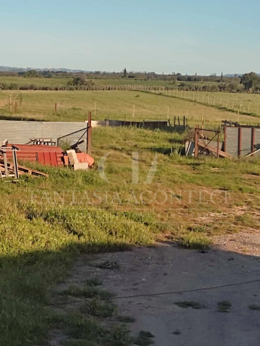 Terreno Agricola ou Rústico para Venda em Casa Branca Foto 6