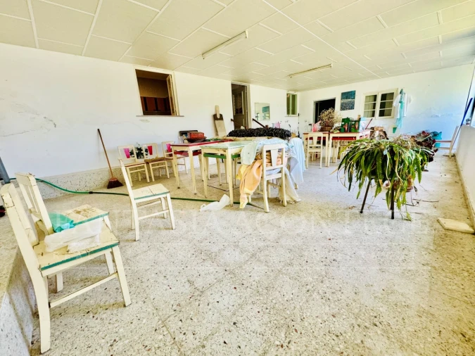 Moradia T8 para Venda em Crato e Mártires, Flor da Rosa e Vale do Peso Foto 16