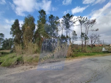 Terreno para Venda em Bustos, Troviscal e Mamarrosa