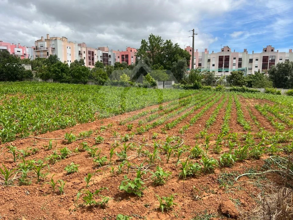 Terreno para Venda em Vialonga Foto 13