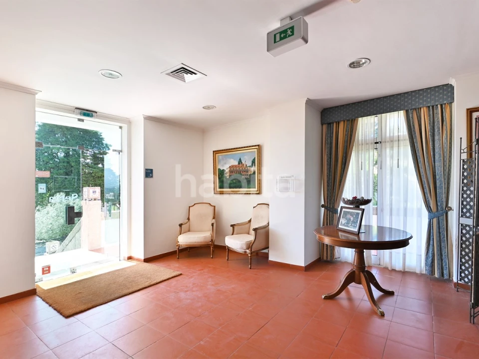 Negócio para Venda em Abrunhosa-A-Velha Foto 5