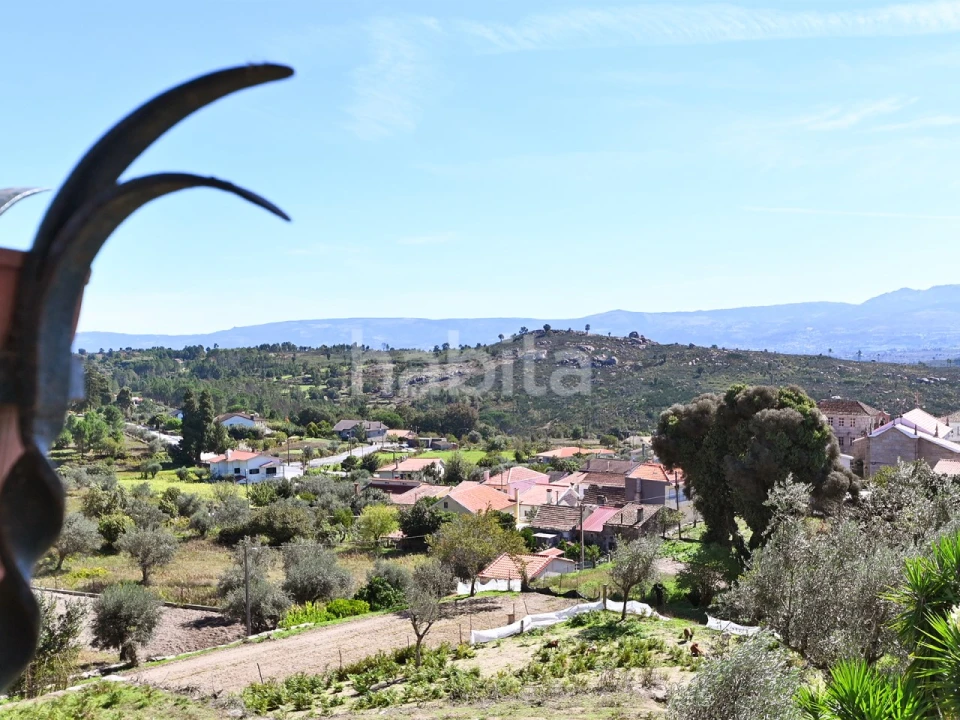 Negócio para Venda em Abrunhosa-A-Velha Foto 3