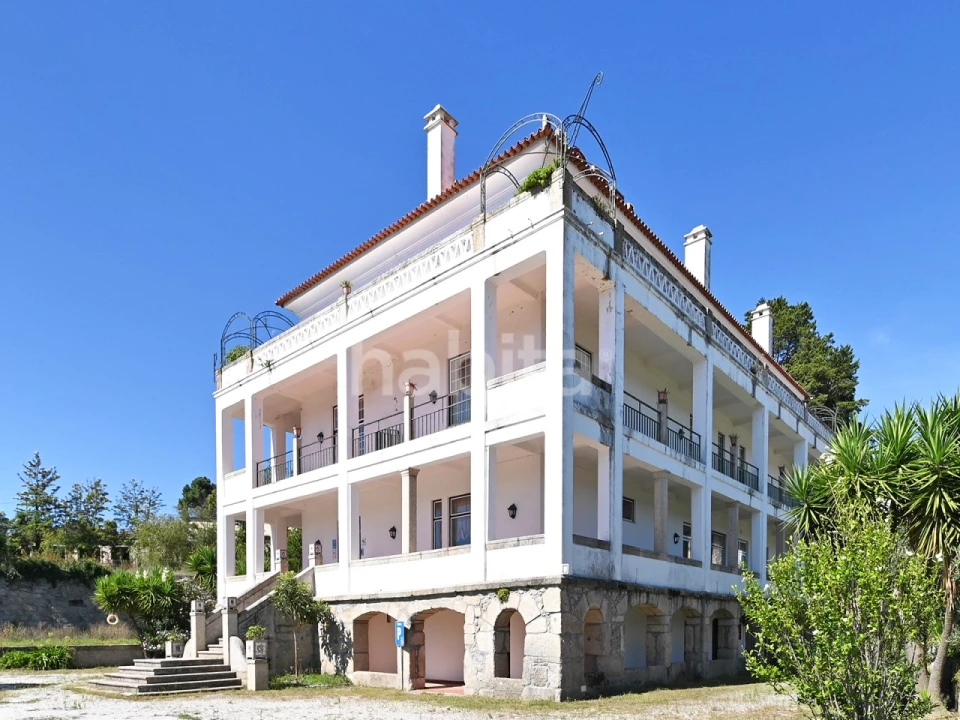 Negócio para Venda em Abrunhosa-A-Velha Foto 4