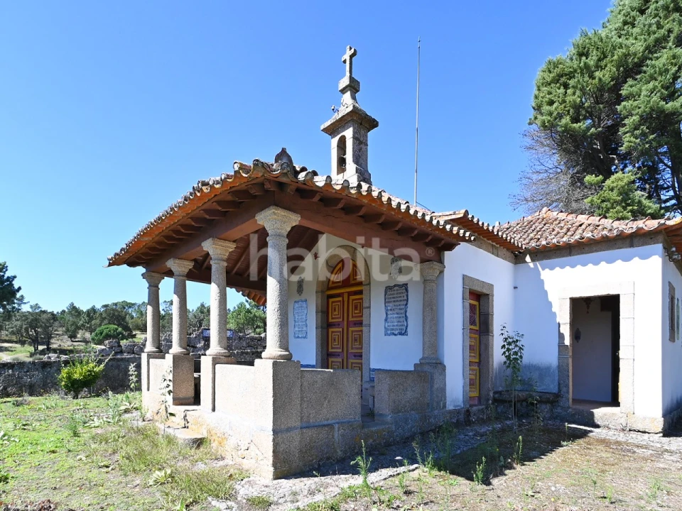 Negócio para Venda em Abrunhosa-A-Velha Foto 31