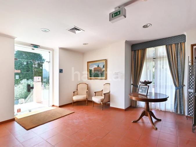 Negócio para Venda em Abrunhosa-A-Velha Foto 5