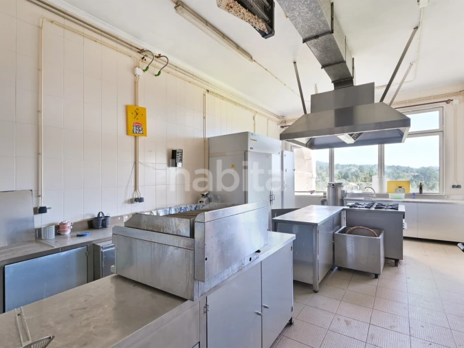 Negócio para Venda em Abrunhosa-A-Velha Foto 10