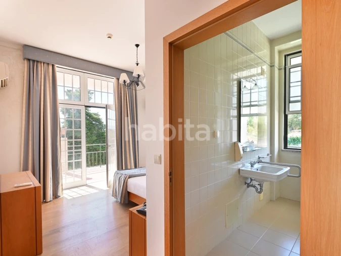 Negócio para Venda em Abrunhosa-A-Velha Foto 19