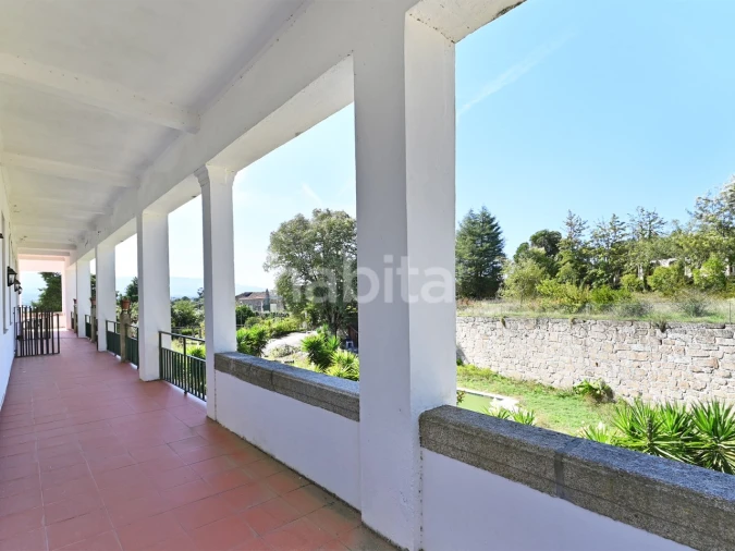 Negócio para Venda em Abrunhosa-A-Velha Foto 26