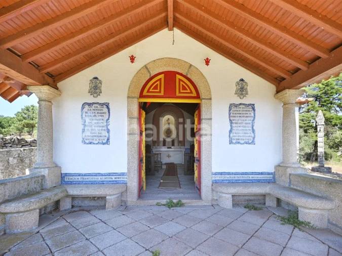 Negócio para Venda em Abrunhosa-A-Velha Foto 32