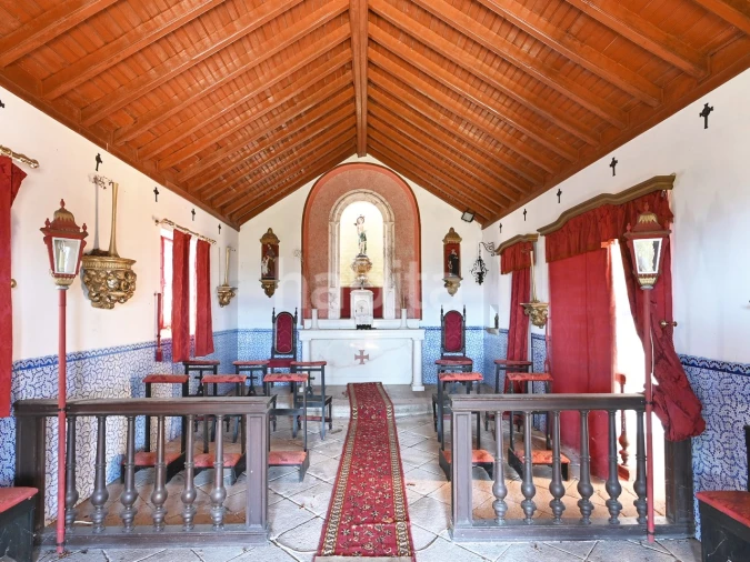 Negócio para Venda em Abrunhosa-A-Velha Foto 33